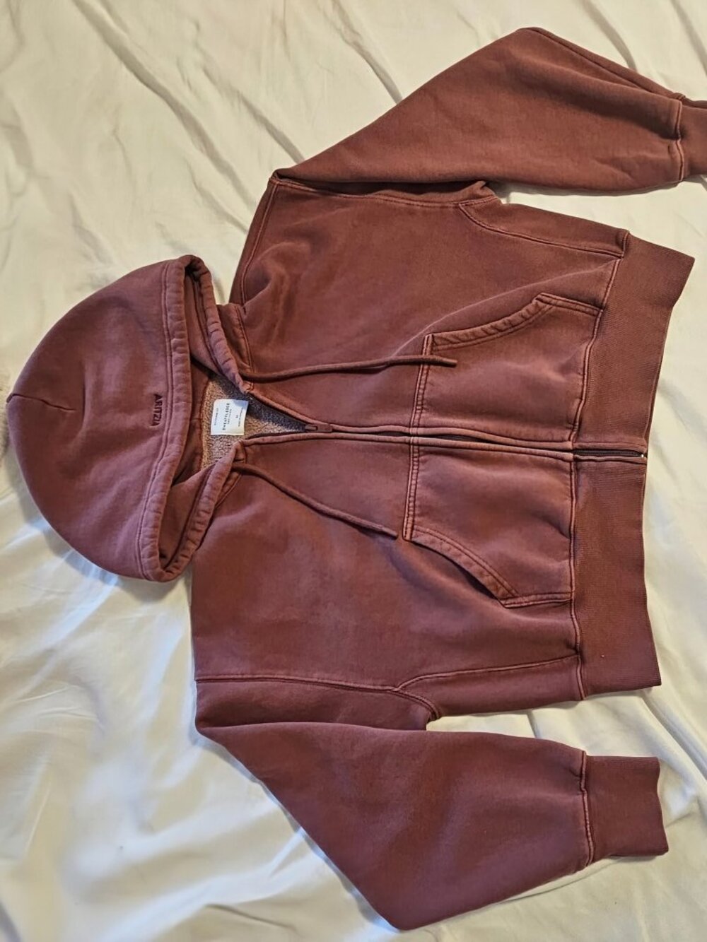 Aritzia Cozy Sweatfleece Boyfriend Boxy Zip Hoodie